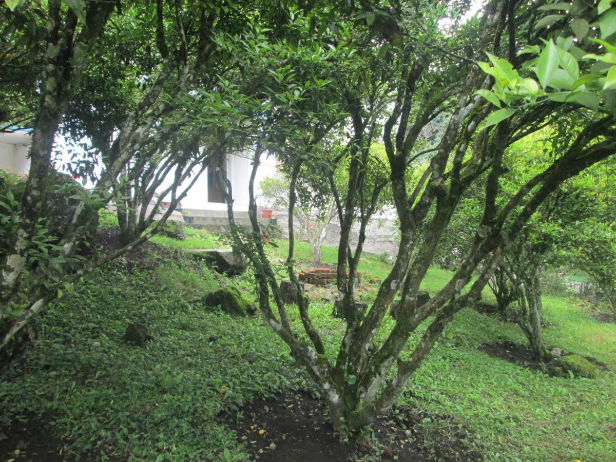 Casa Martin En De Agua Santa * Banos (Tungurahua)